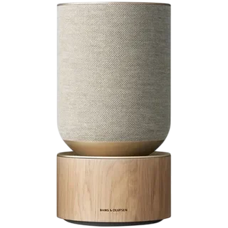 Сервисный центр Bang & Olufsen в Рязани